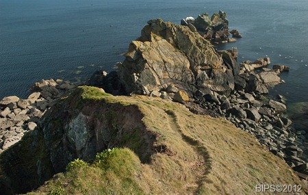 DSC_0008 - MOD1 - Steep path down of cliffs to Carrick Luz  - Lizard - Cornwall - BIPS©2012 30-3-2012