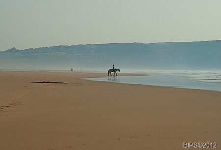 DSC_0018 - MOD1 - Perran Beach - Cornwall - BIPS©2012 28-3-2012