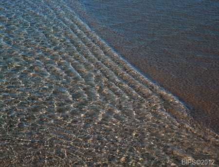 DSC_0030 - MOD1 - Perran Beach - Cornwall - BIPS©2012 28-3-2012