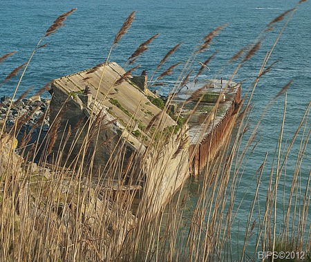 DSC_0163 - MOD1 - Dean Point Quarry Jetty - Lizard - Cornwall - BIPS©2012 26-3-2012